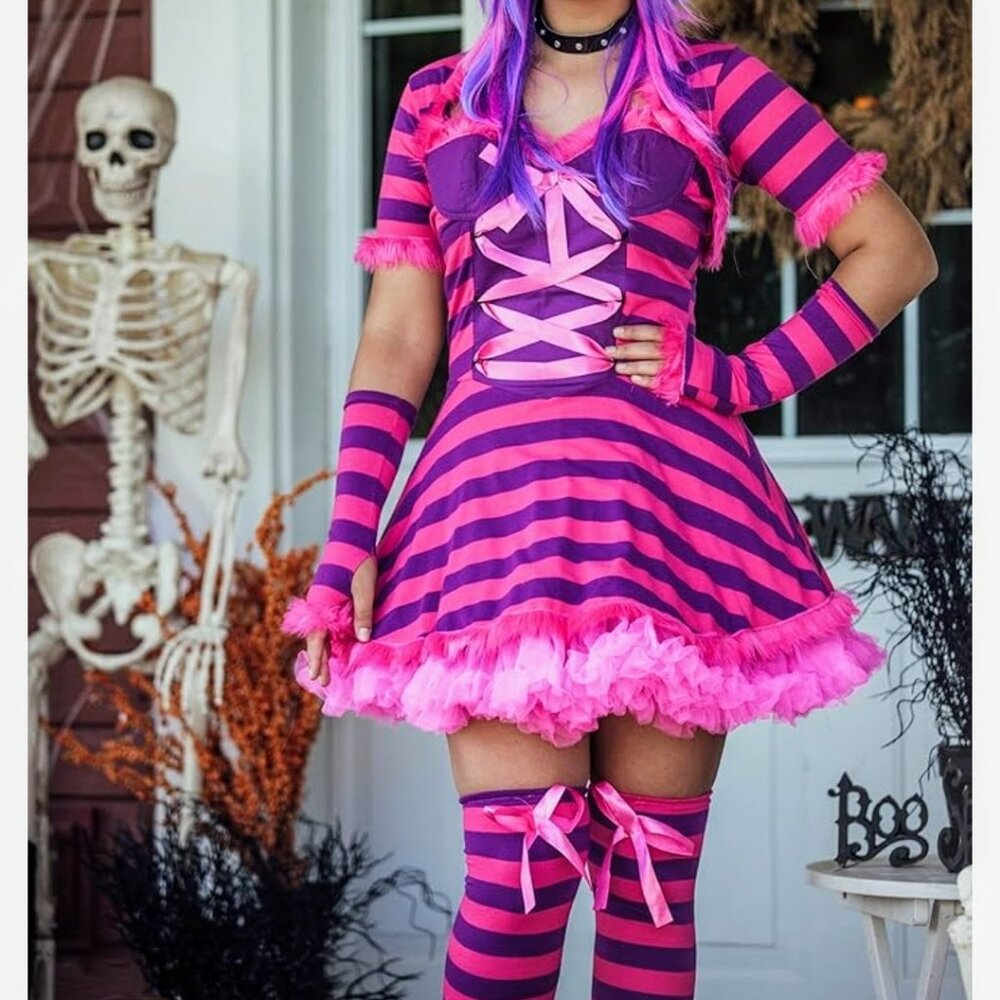 Cheshire Cat Costume / Alice in Wonderland / Cat Dress